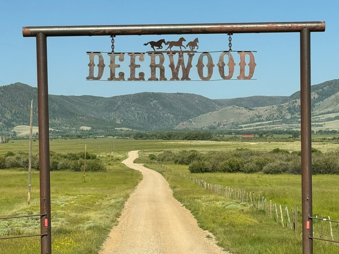 Deerwood Ranch Wild Horse EcoSanctuary景点图片