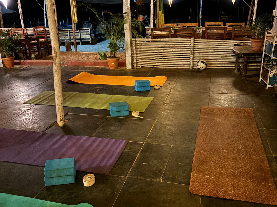 Drishti Yoga International主图