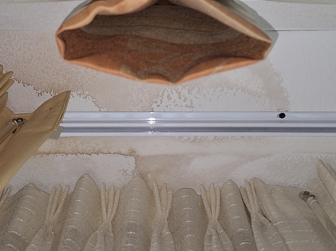 Hilton Garden Inn Corpus Christi主图