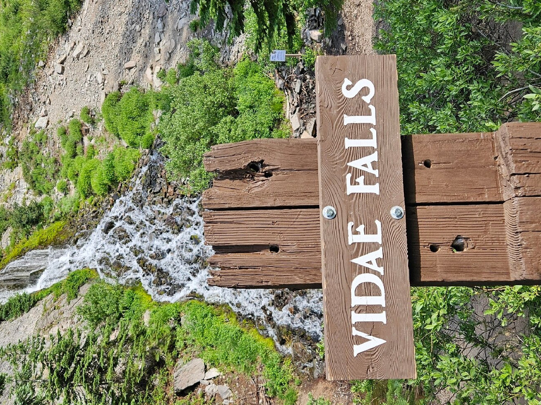 Vidae Falls景点图片