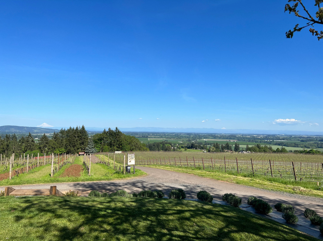 Durant Vineyards-Dayton必去景点