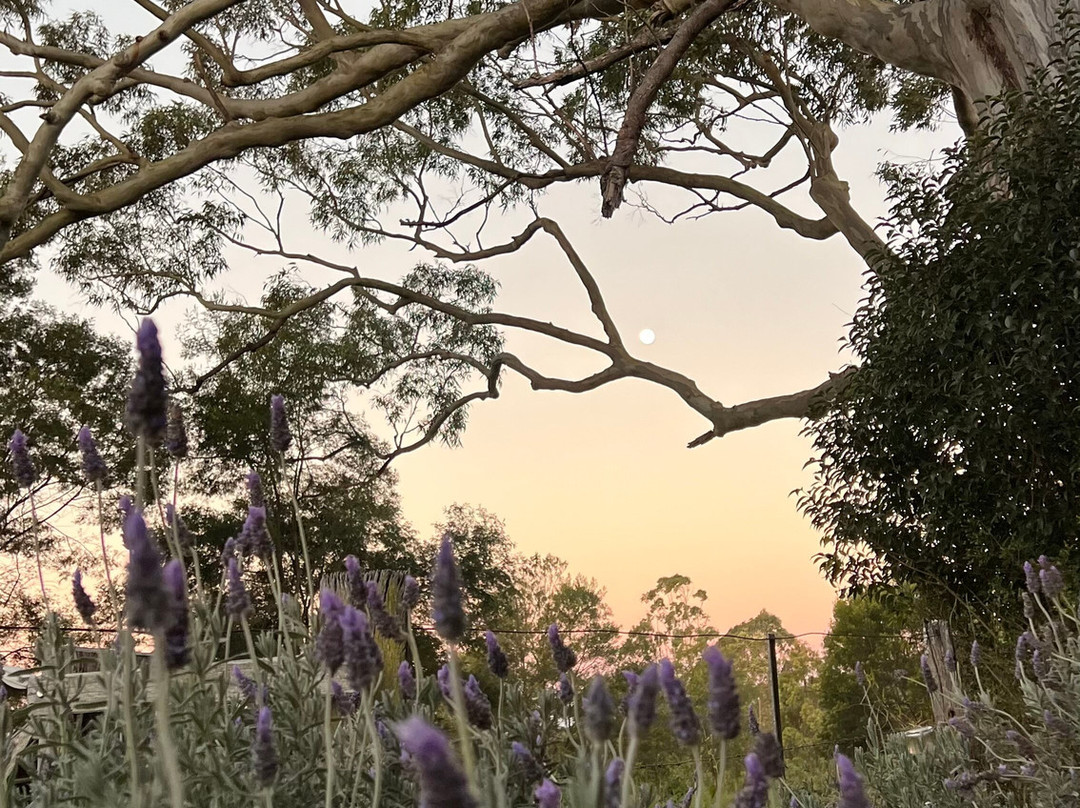 Hazelmont Cottage主图