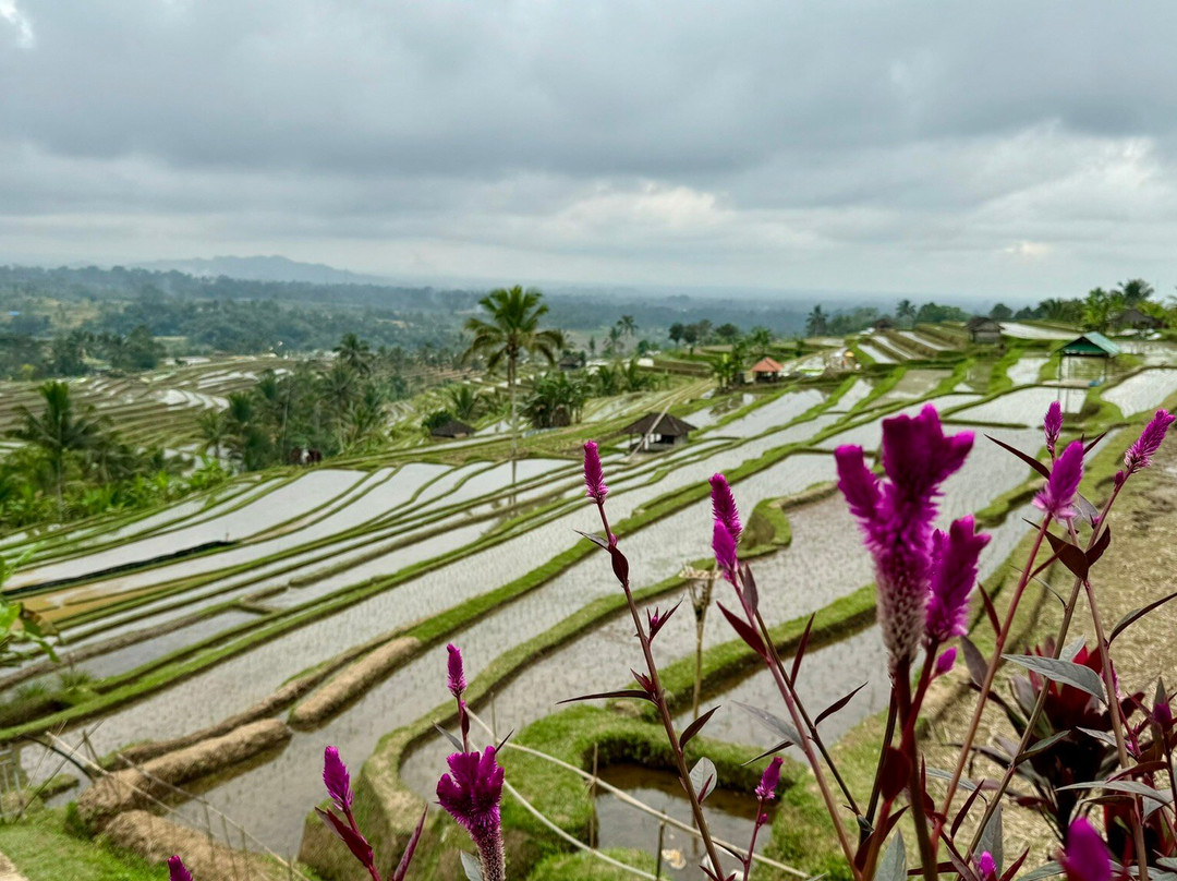 Bhuana Agung Villa & Restaurant主图