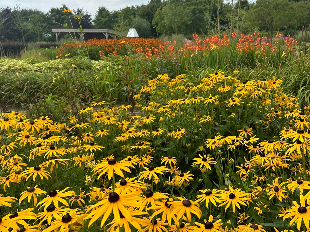 Bloemenpark Appeltern景点图片