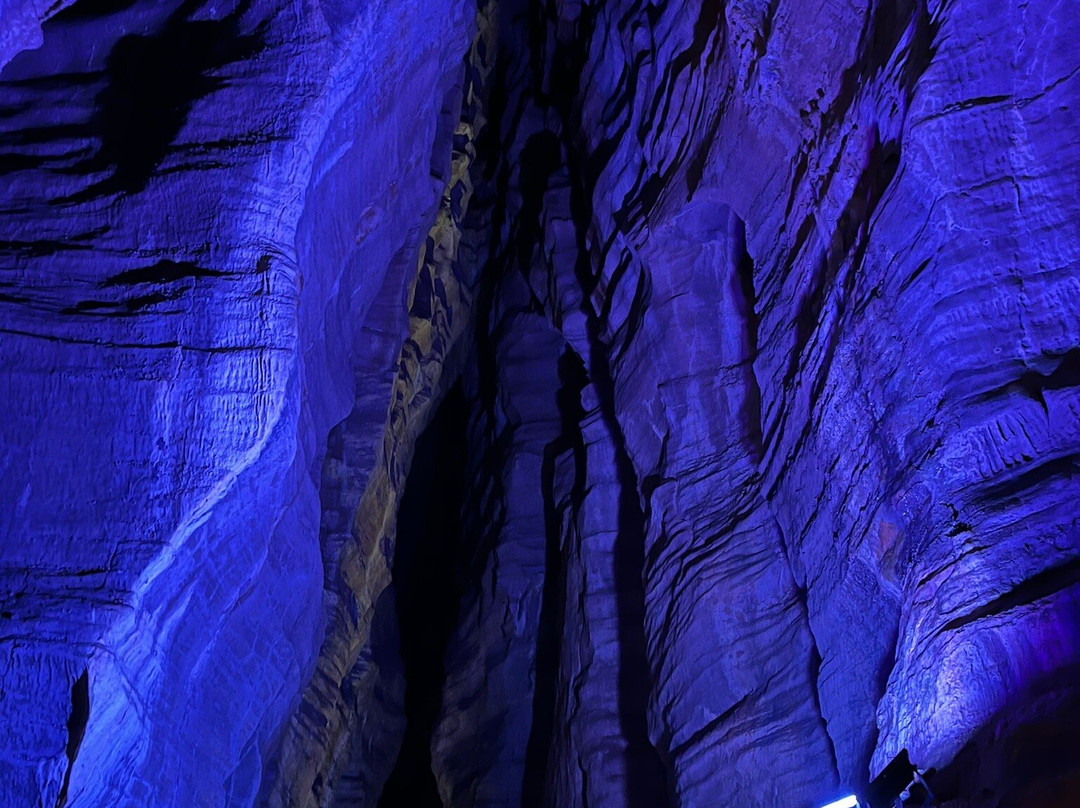 Grottes de Baume-les-Messieurs景点图片