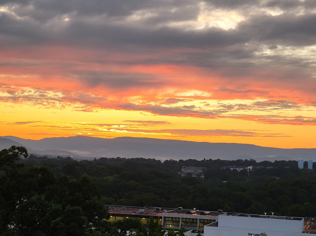 Hilton Garden Inn Roanoke主图