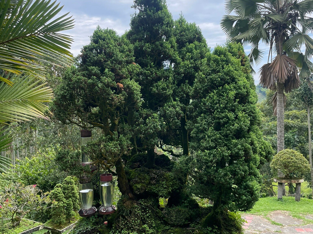 Orchids & Birds Finca Romelia-Manizales必去景点