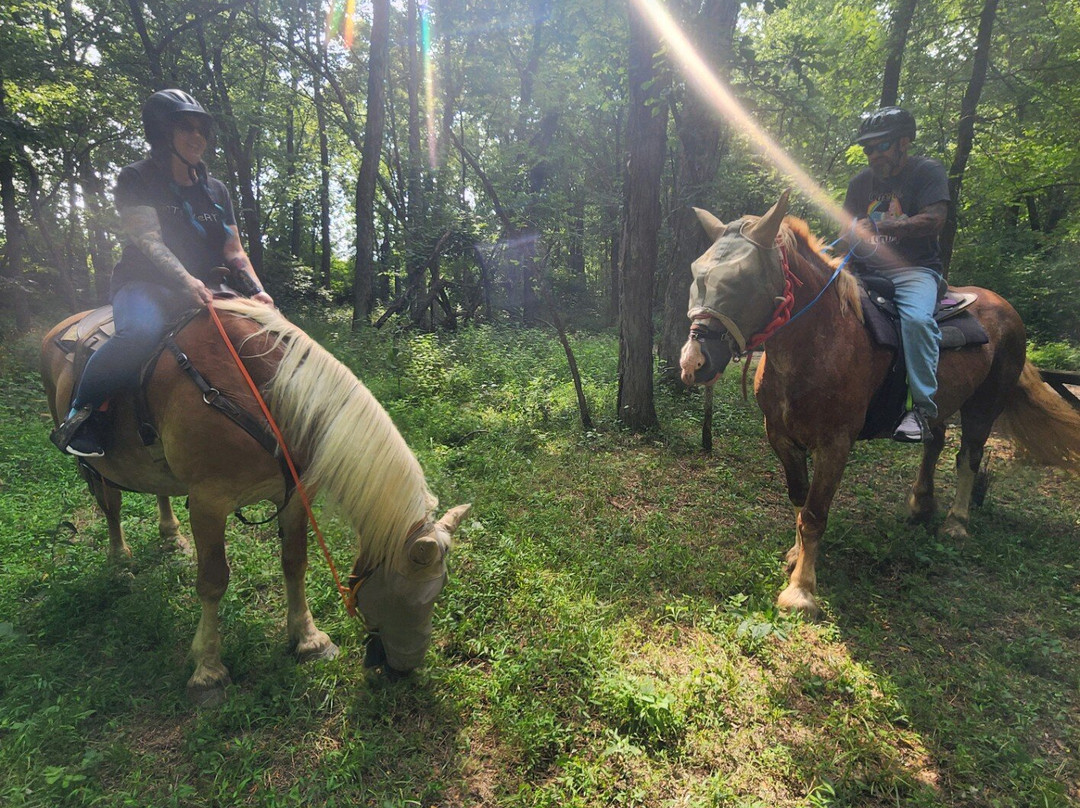 Red Fern Riding Center景点图片