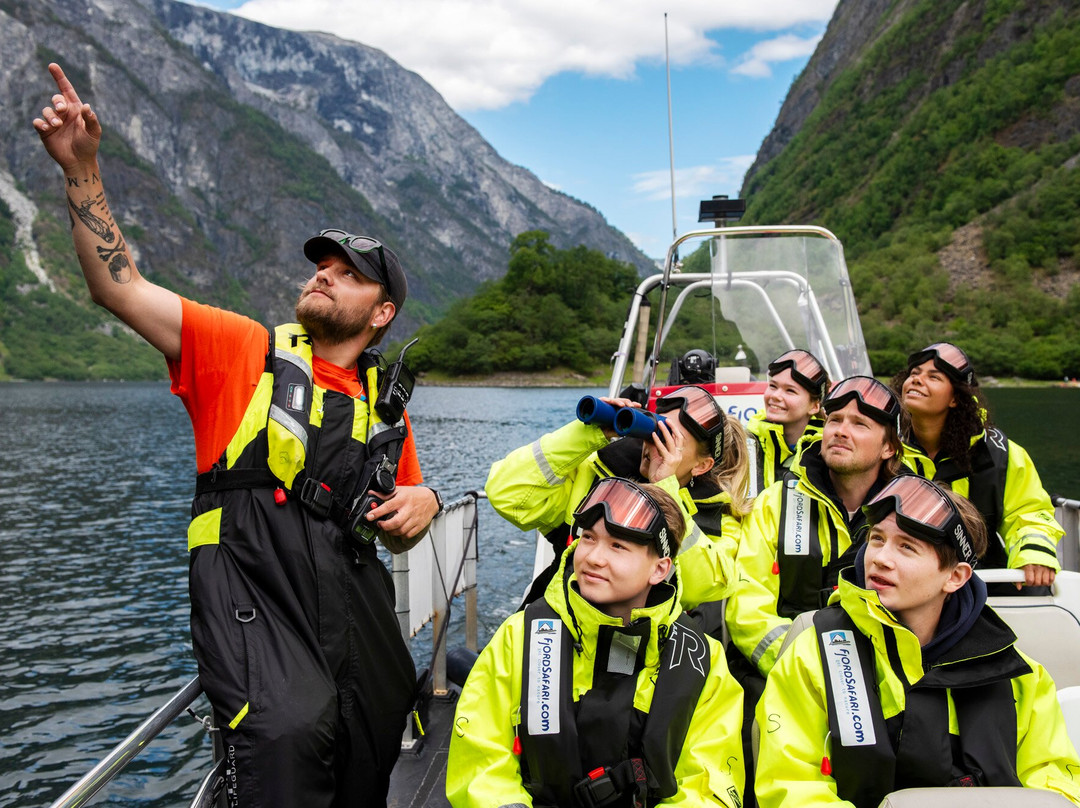 FjordSafari-弗洛姆必去景点