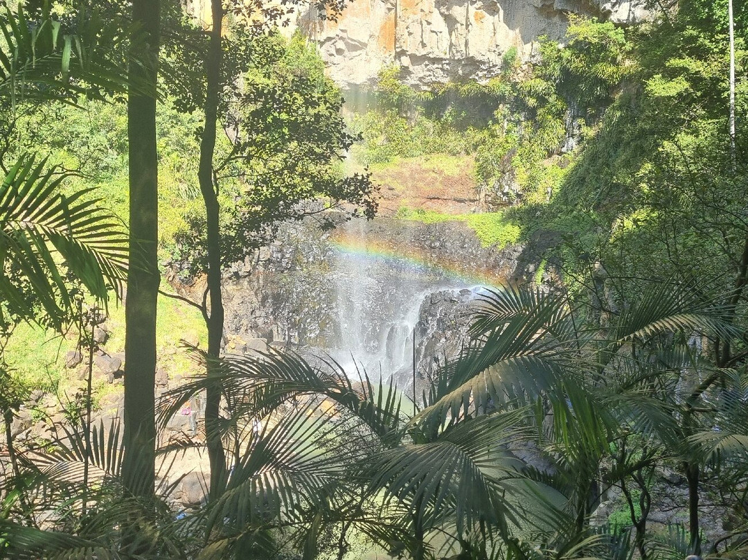 Purling Brook Falls景点图片