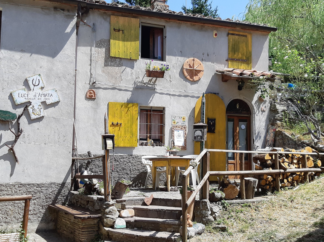 Luce D'Amiata Mountain Art Farm