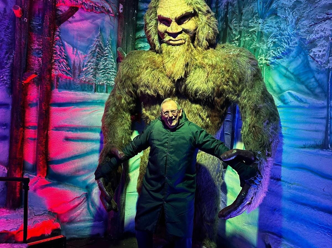 Iceland - Bar de Gelo-坎普斯－杜若尔当必去景点