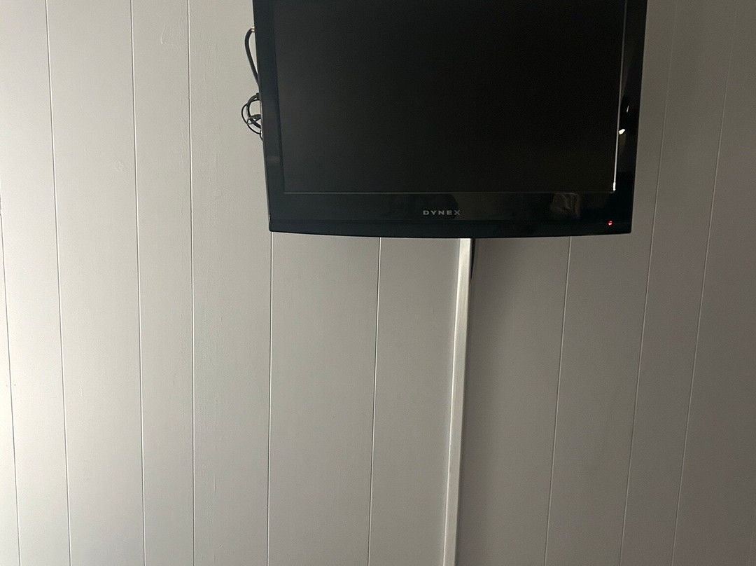 The Little Lion主图