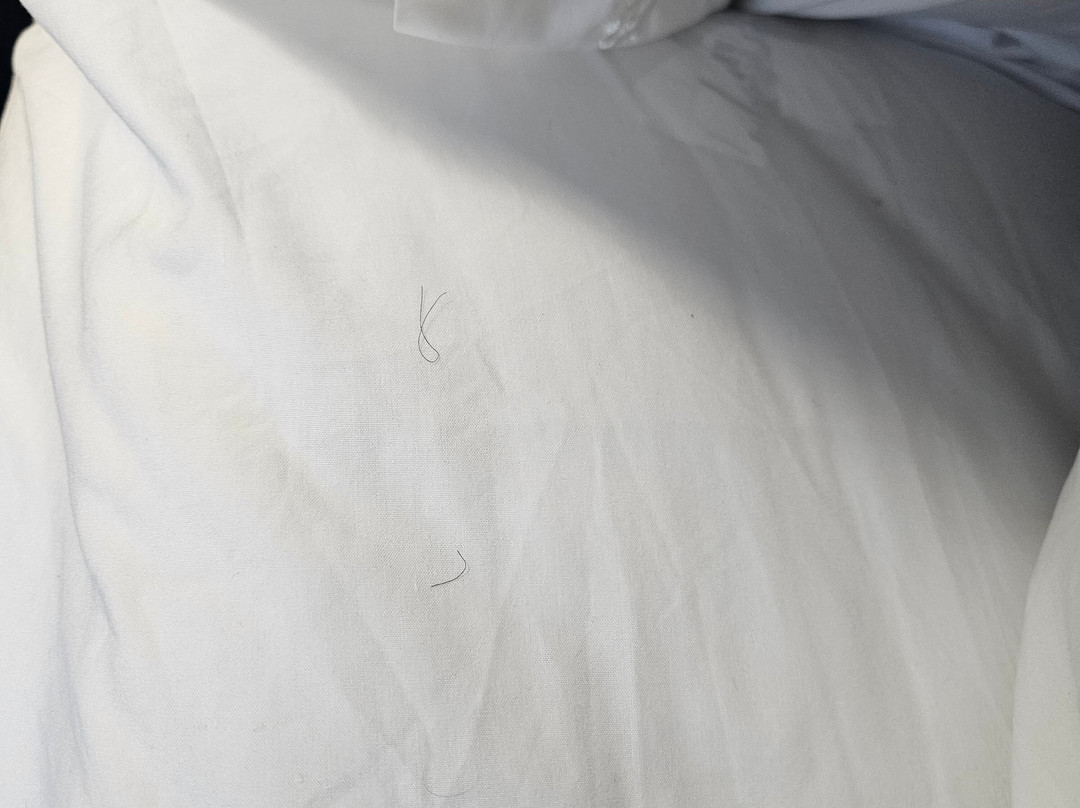 埃尔帕索北智选假日套房酒店主图