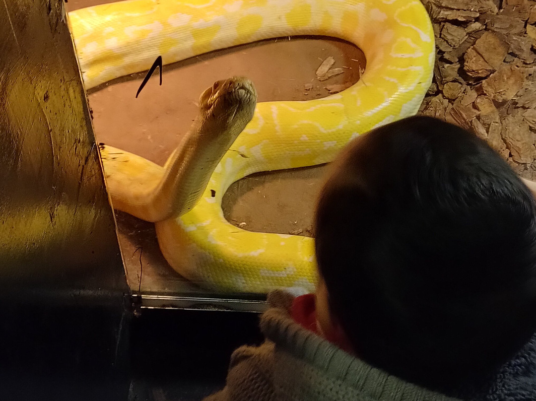 Serpentario Educativo de Tigre-蒂格雷必去景点