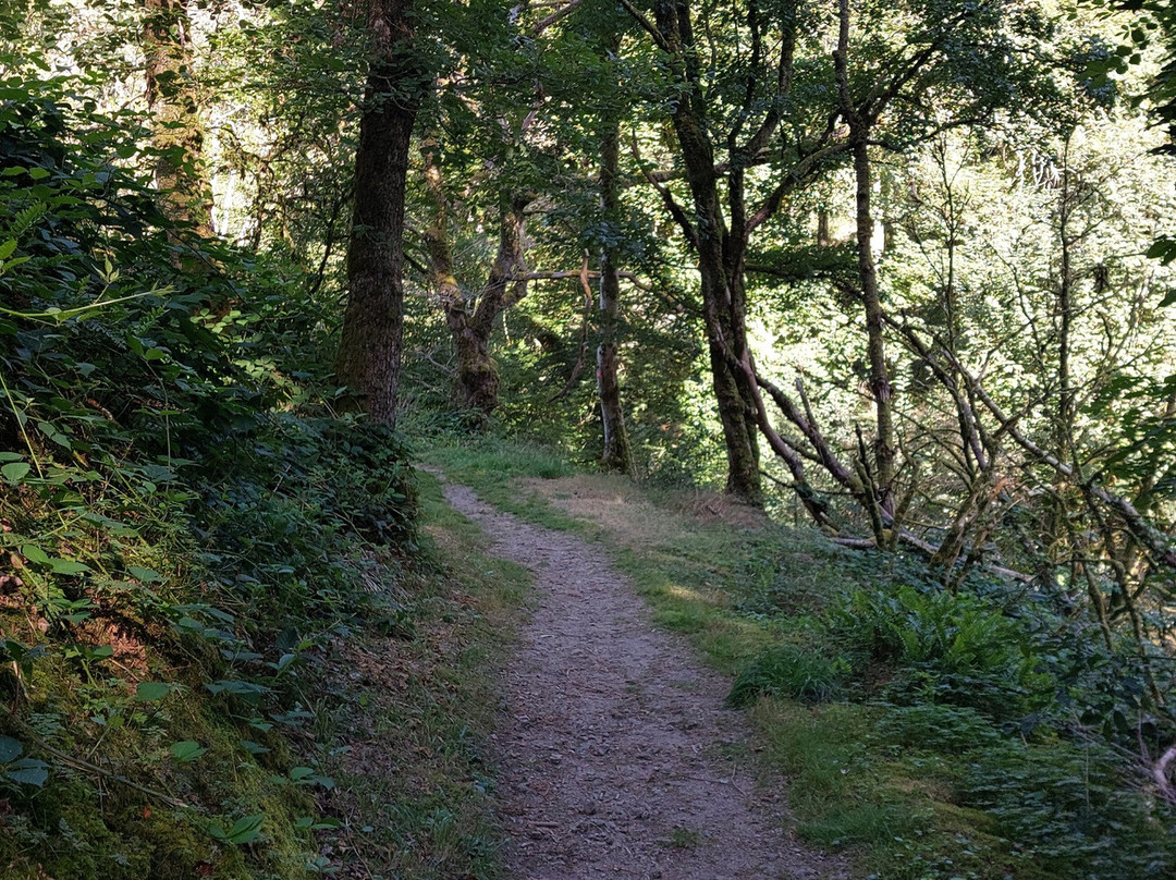 Gorges de Narvau-Lormes必去景点