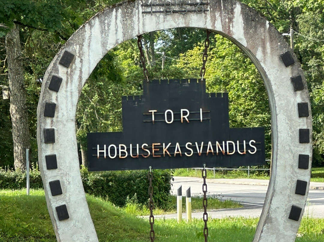 Tori Horse Breeding Farm-Tori必去景点