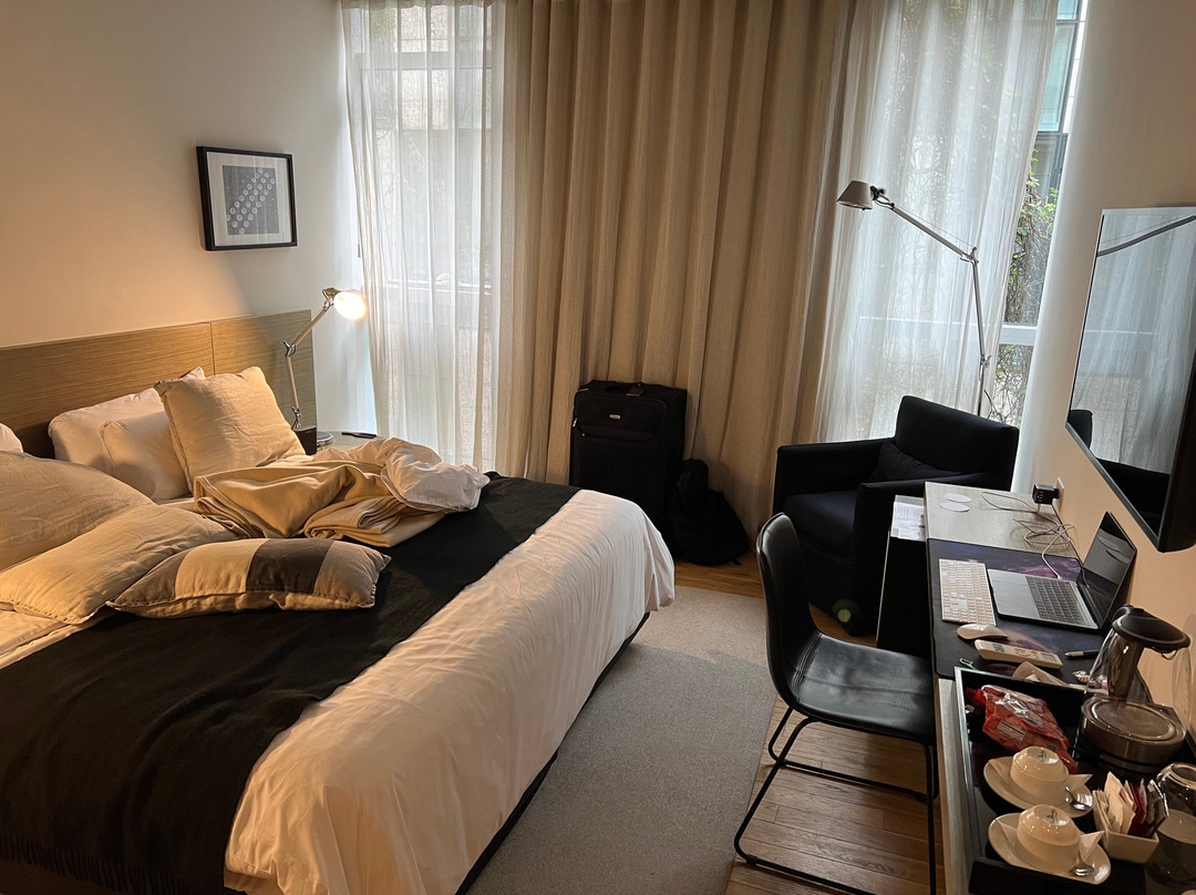 Anselmo Buenos Aires, Curio Collection by Hilton主图