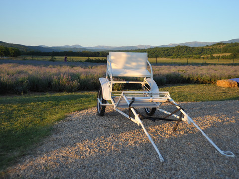 Viva Lavanda Organic Farm-Aromat必去景点