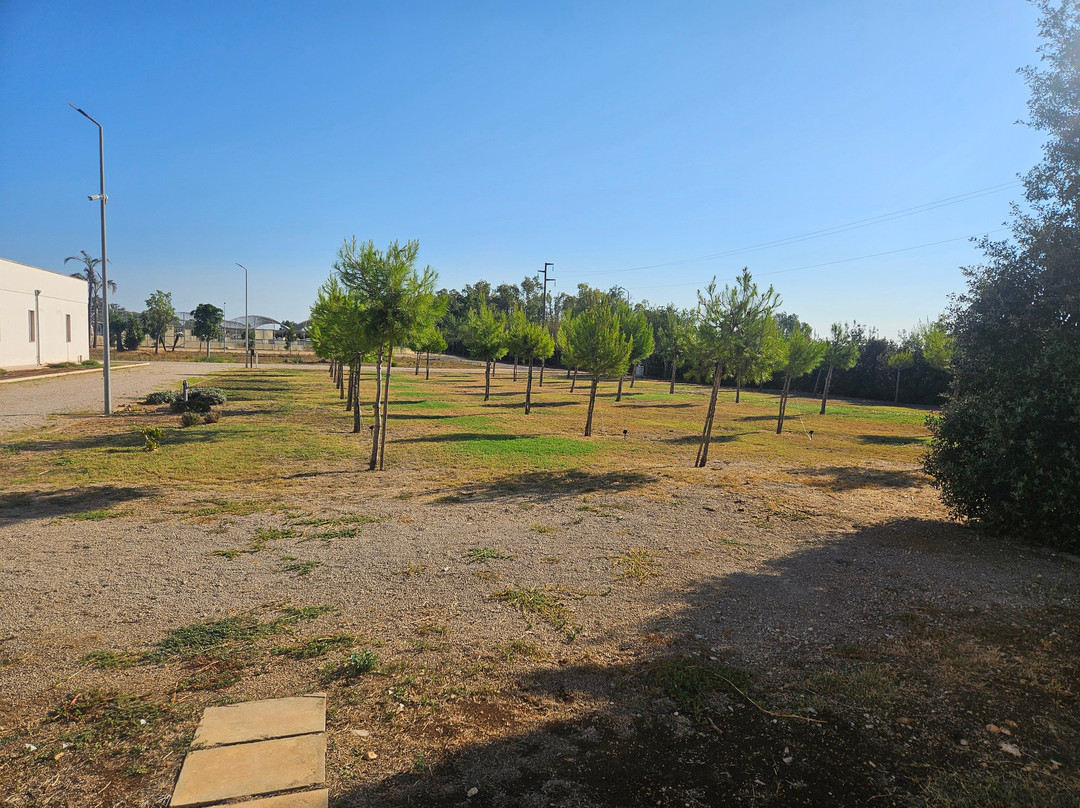 Verde Blu Vacanze主图