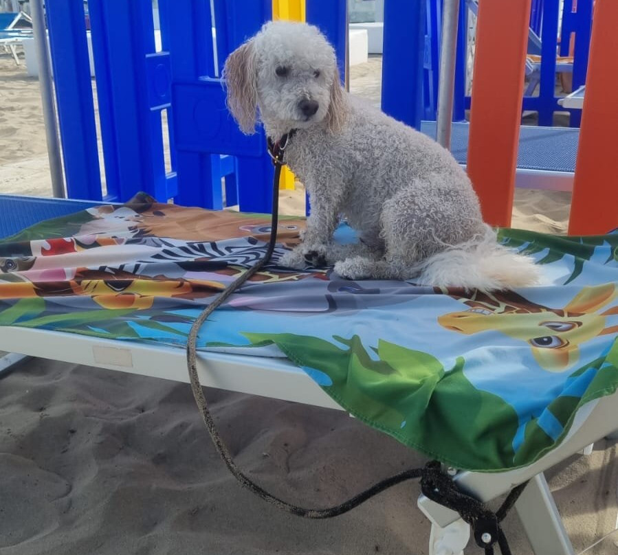 Marano Beach 135-136景点图片