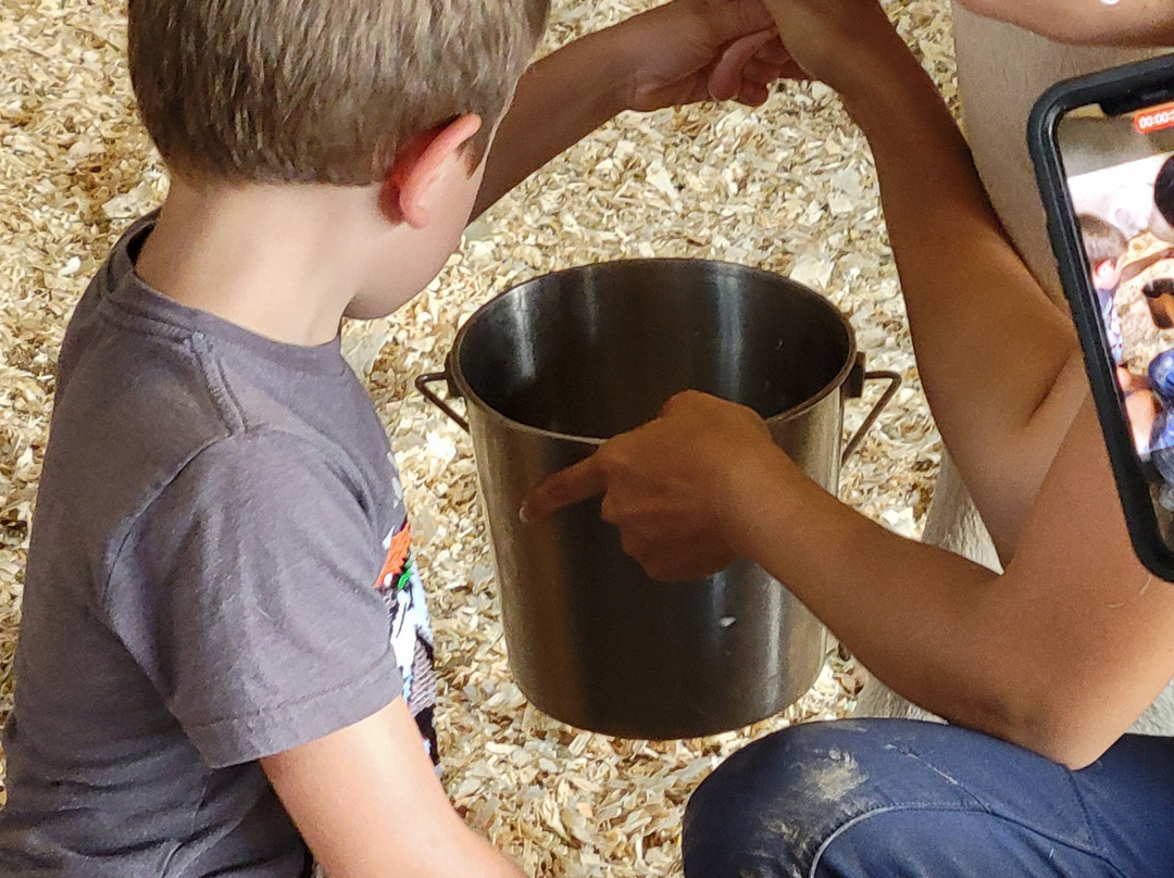 Warren Falls-Warren必去景点