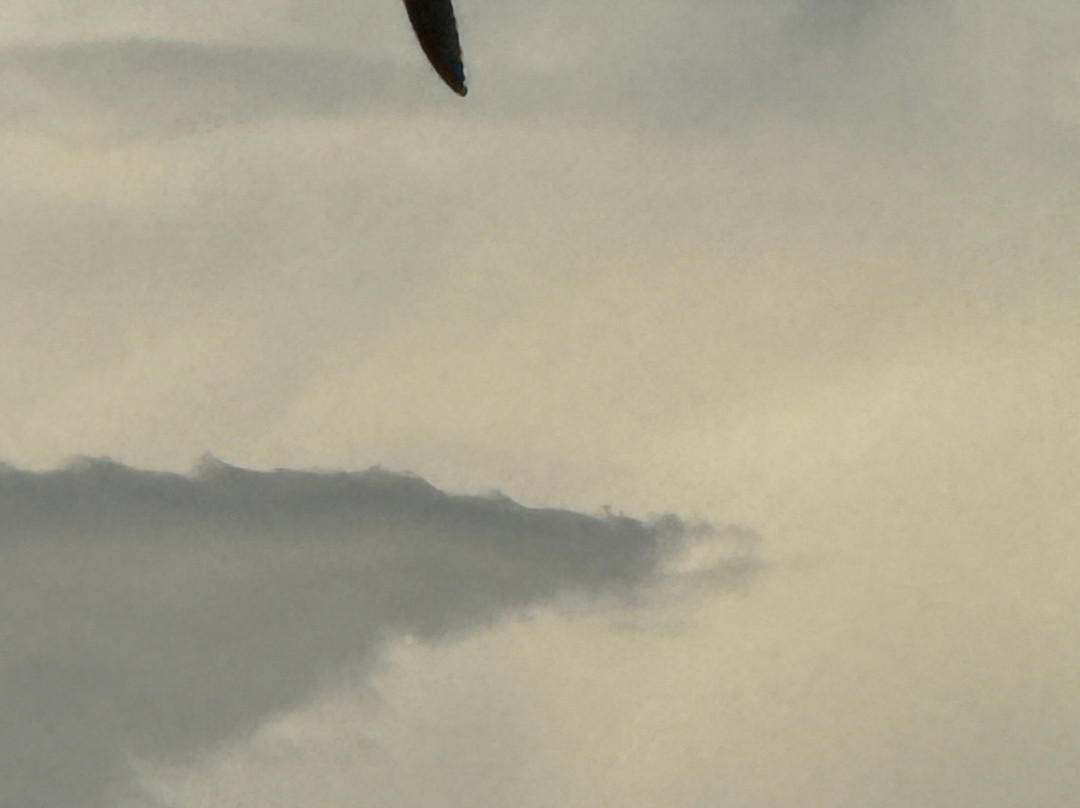 Kissimmee Prairie Preserve State Park-奥基乔比必去景点