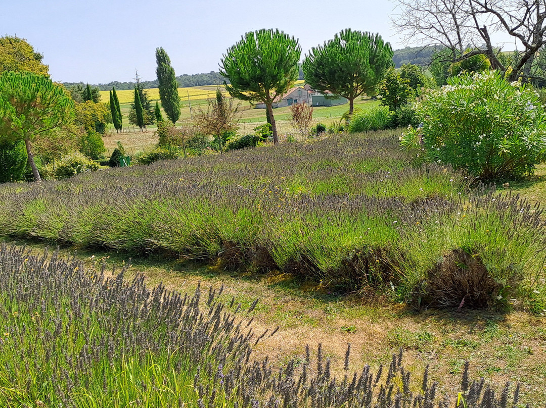 Les jardins du Coq景点图片