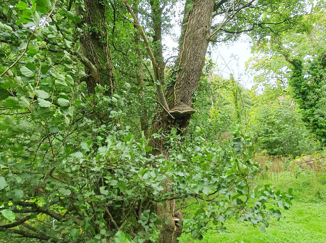 Galloway House Gardens景点图片