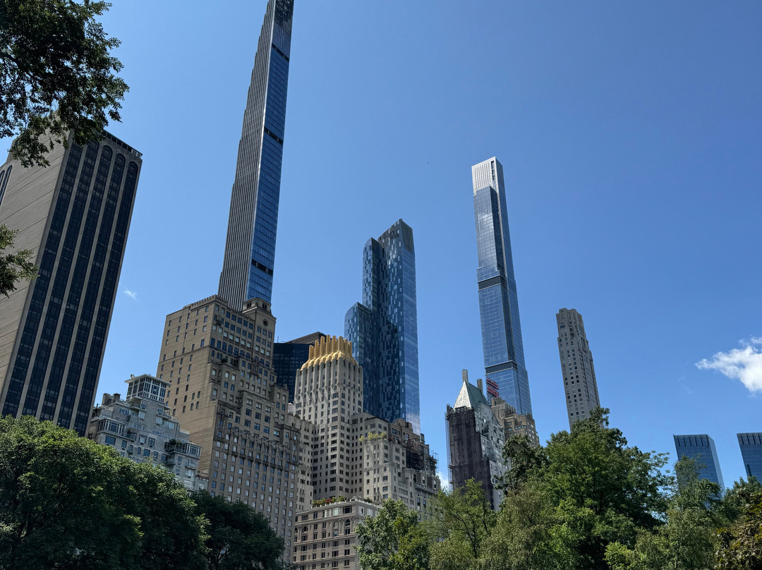 NYC Smart - Central Park pedicab tours-纽约市必去景点