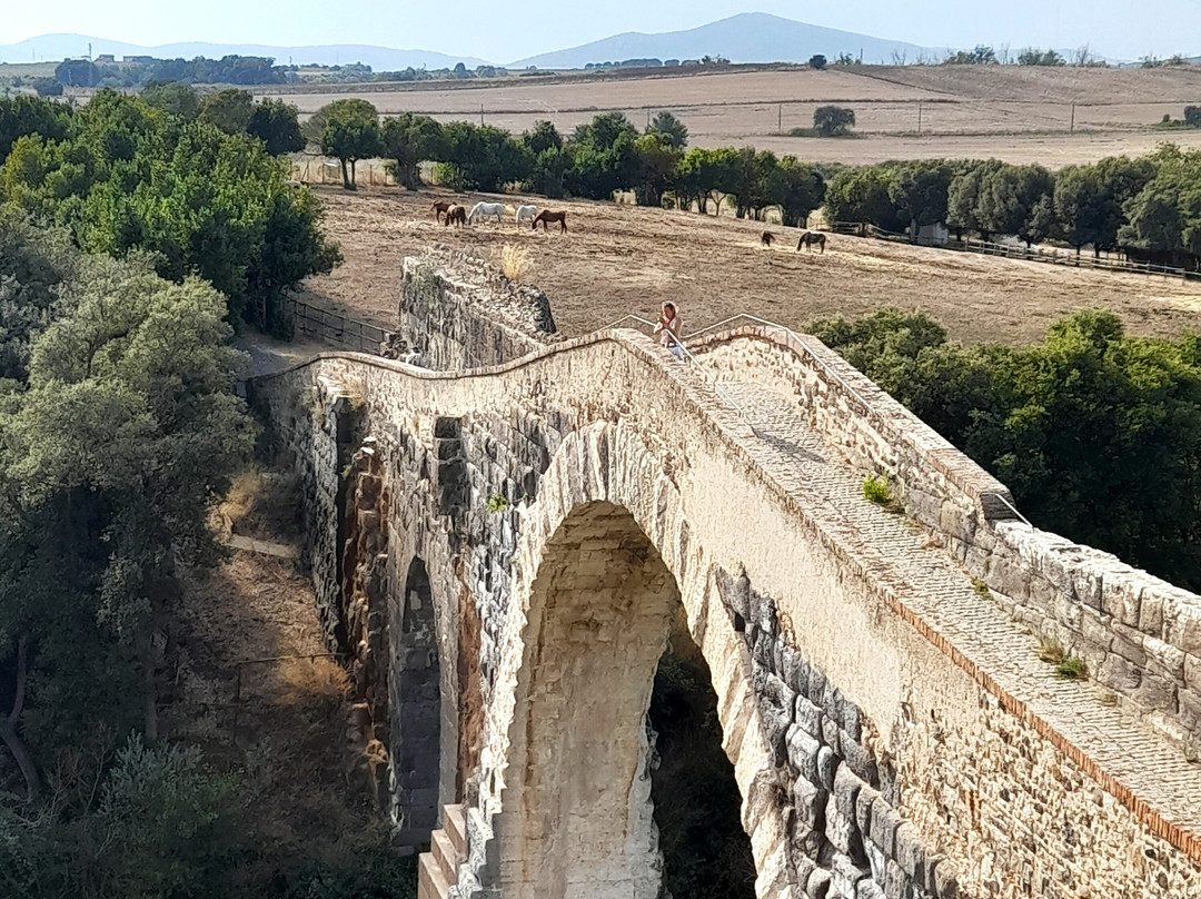 Castello dell'Abbadia-Canino必去景点