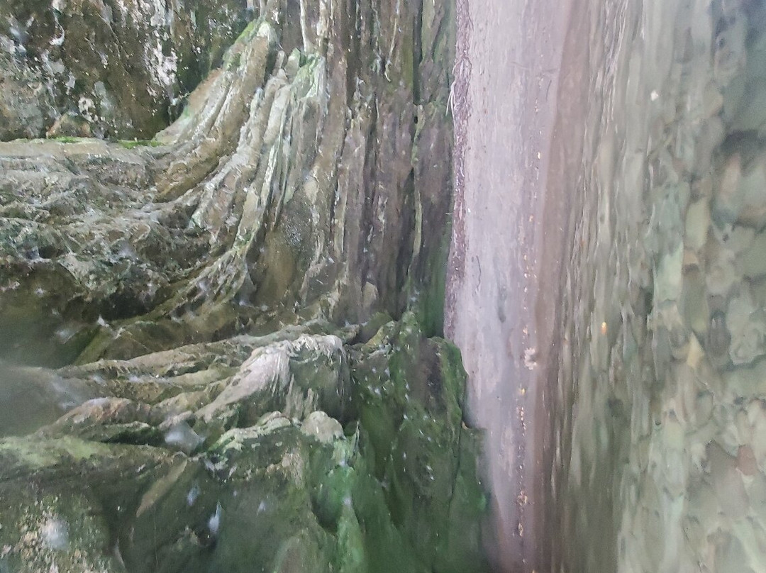 Port Austin Kayak景点图片