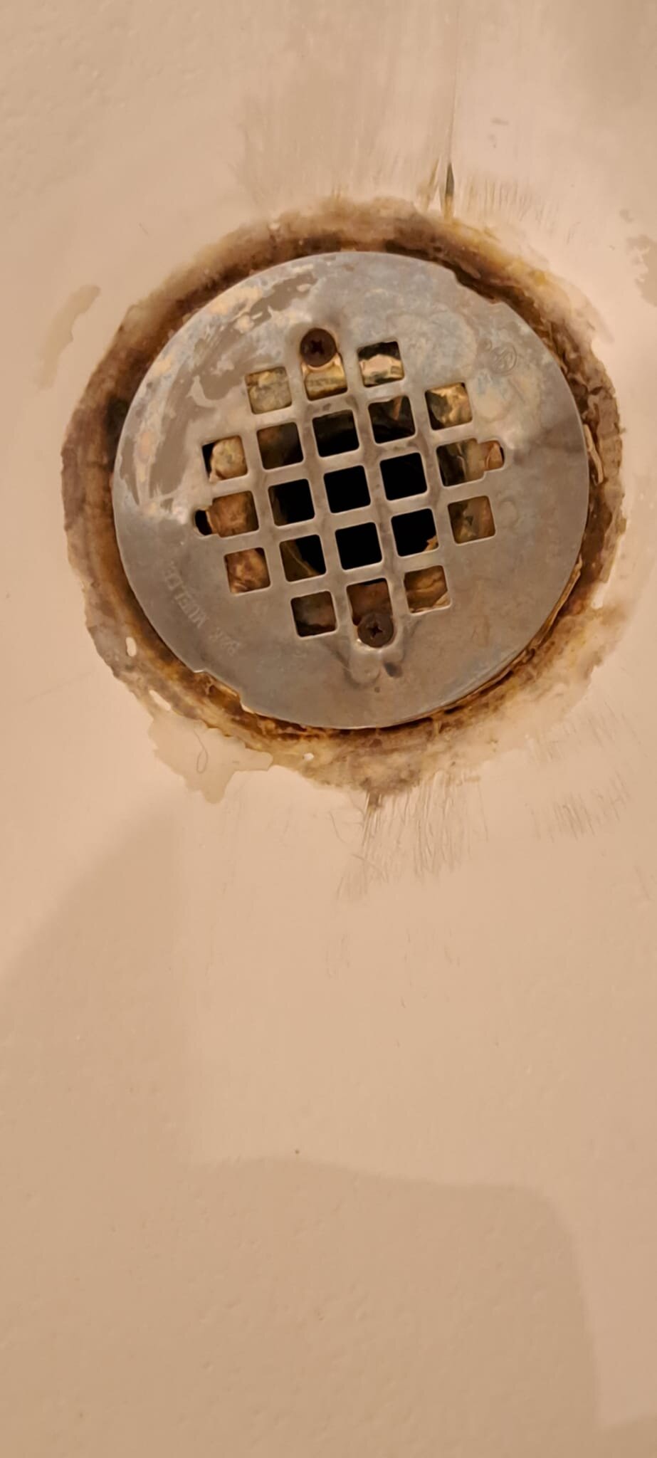 Fox 'n Fireweed Cabins-官方