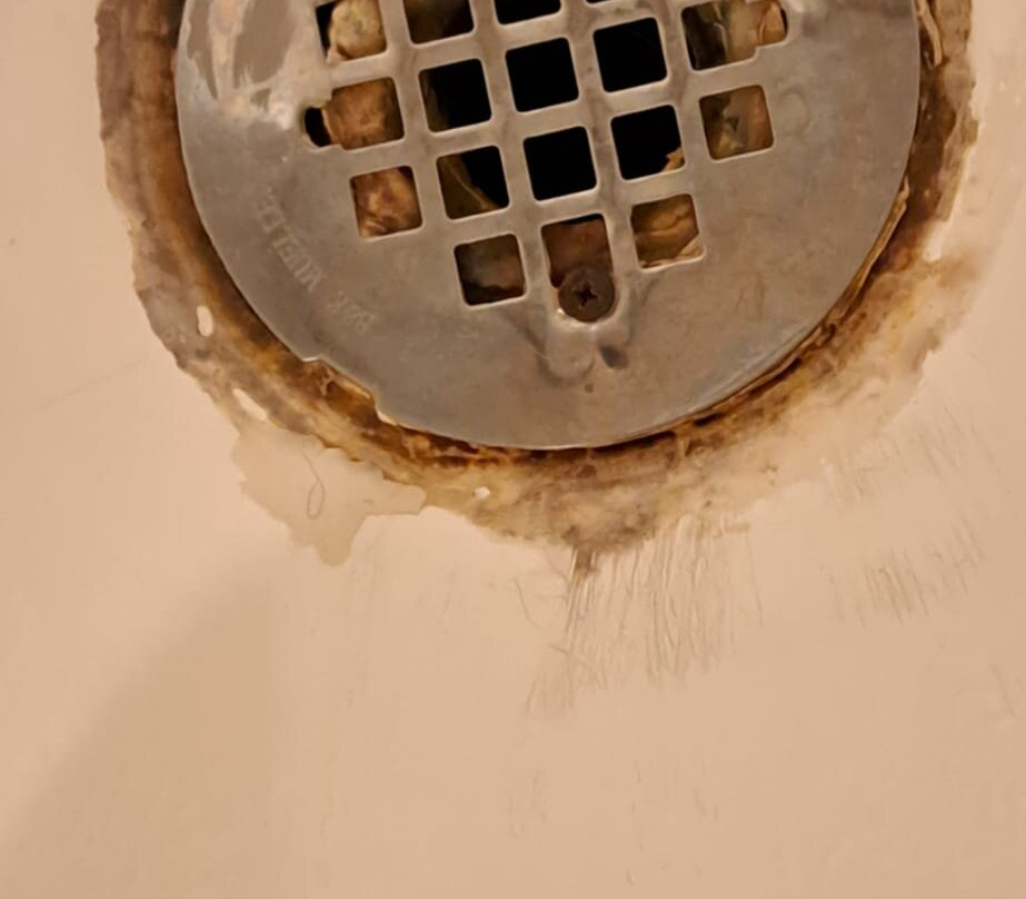 Fox 'n Fireweed Cabins主图