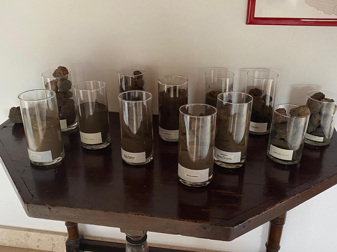 Tenuta delle Terre Nere Azienda Vinicola景点图片