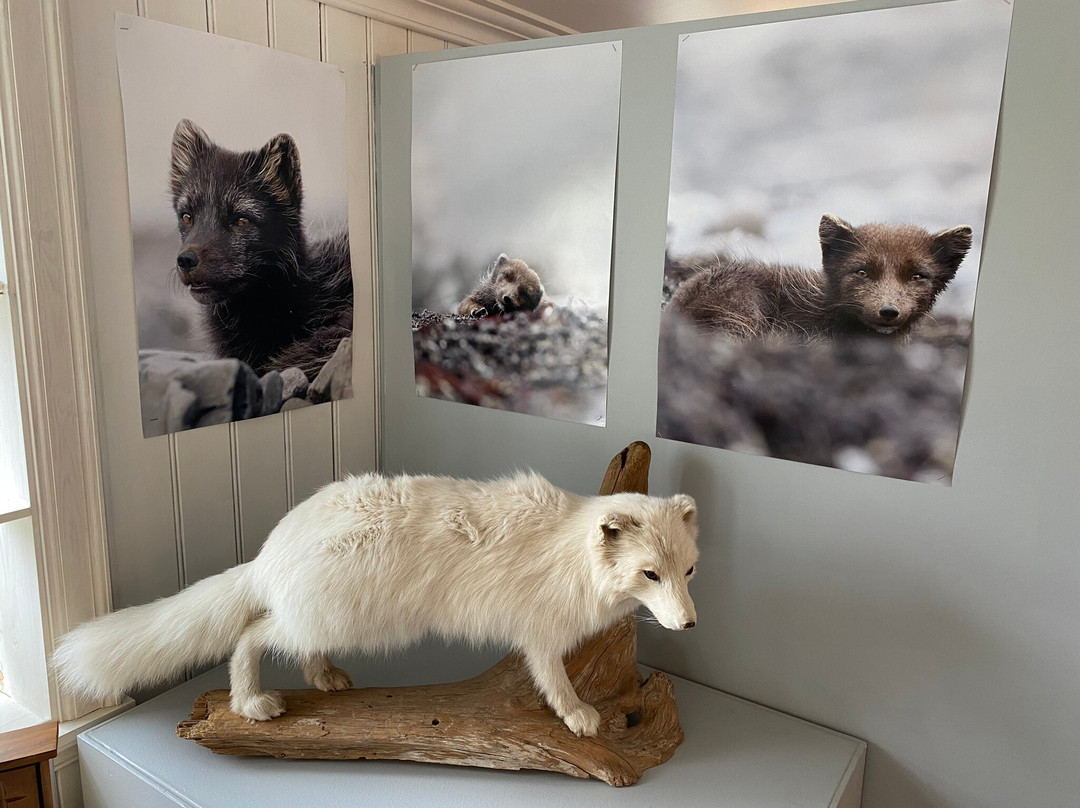 The Arctic Fox Centre-Sudavik必去景点