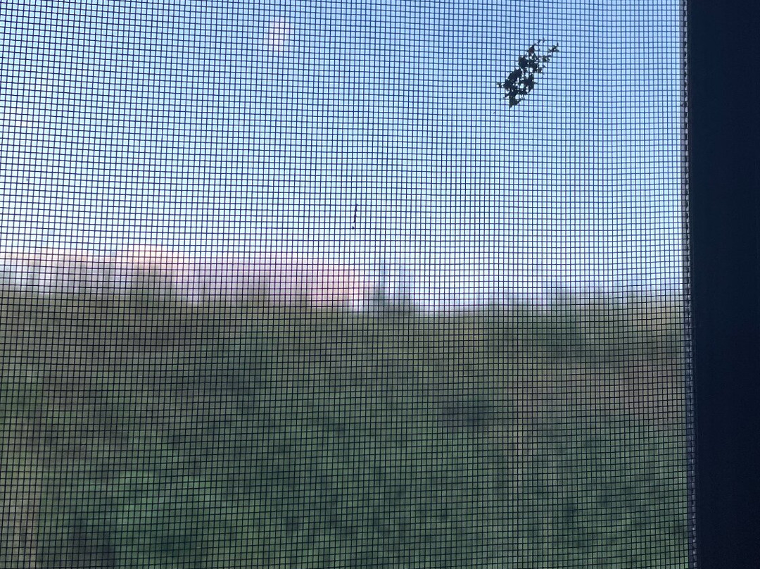 The Grapevine Motel主图