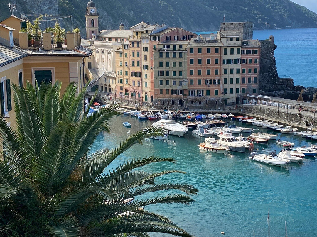 Al Piccolo Scoglio - Room & Breakfast主图