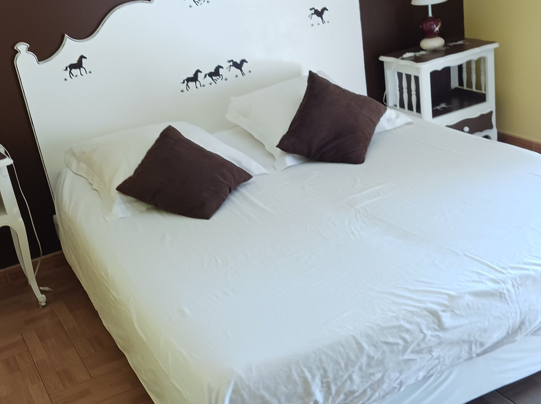 Domaine de Flo主图