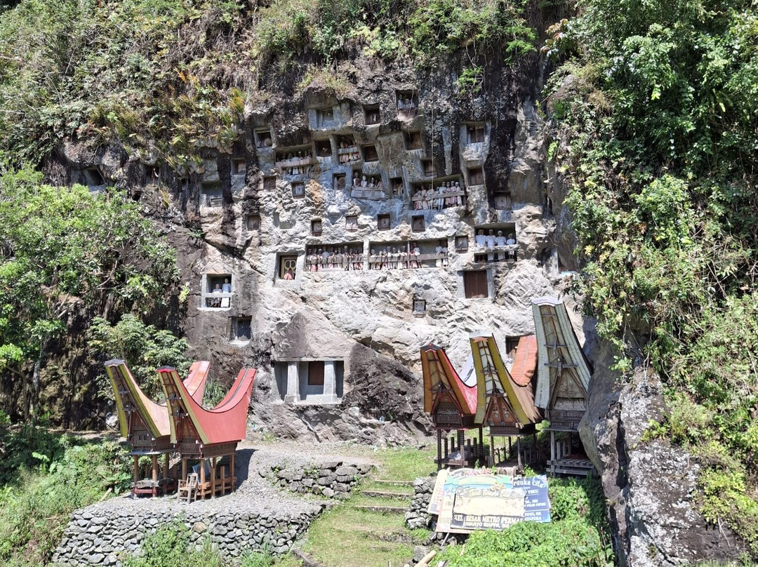 Sulawesi Culture and Nature Tour景点图片