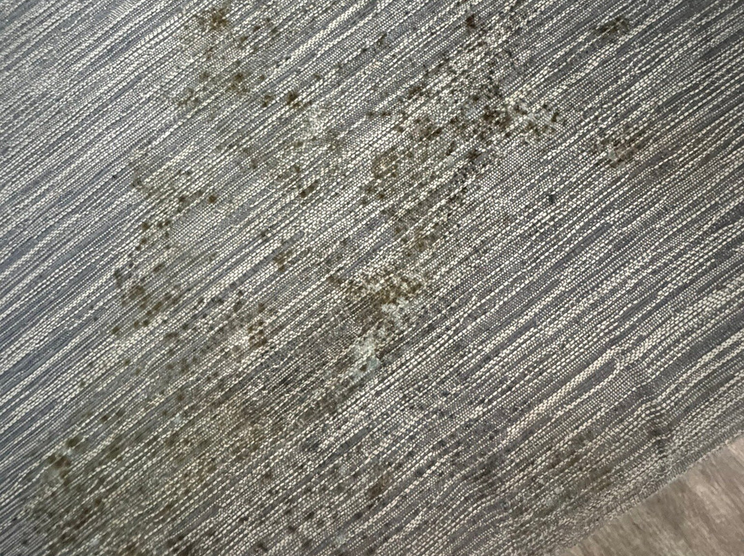 Admiral on Baltimore主图