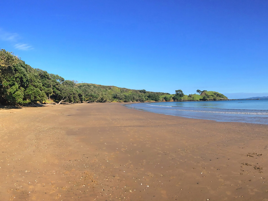 特里汗平房主图