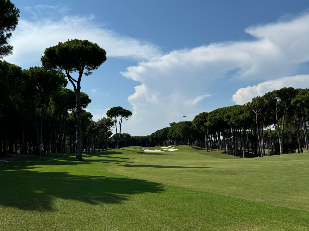 Carya Golf Club景点图片