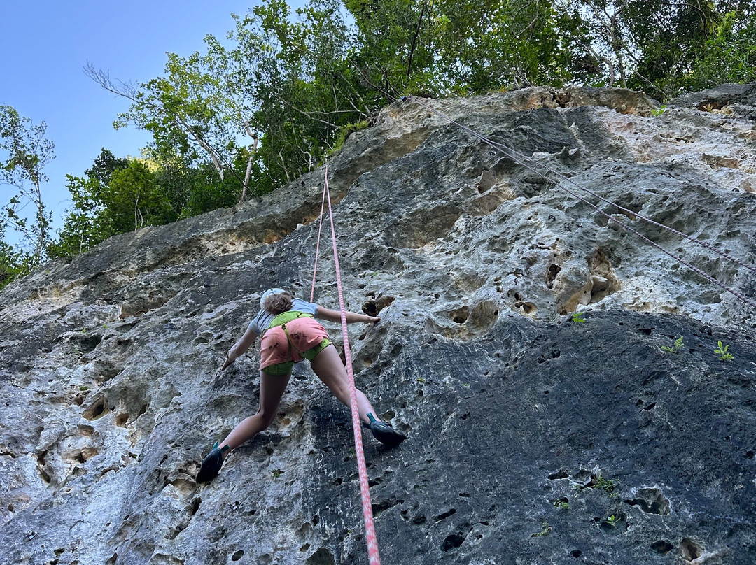 Roca Norte Outdoor Climbing Gym-Vega Baja必去景点