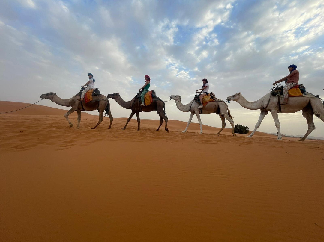 Sama Tours Maroc-马拉喀什必去景点