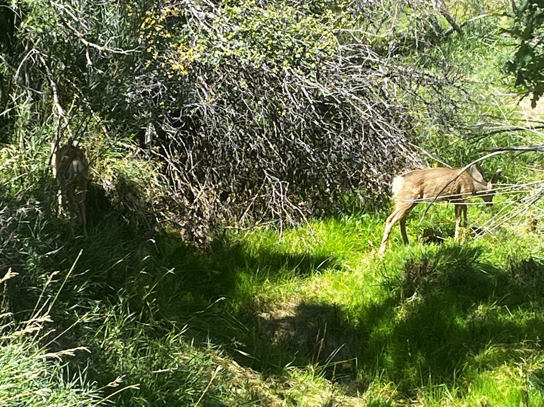 The Hideout Golf Club-Monticello必去景点