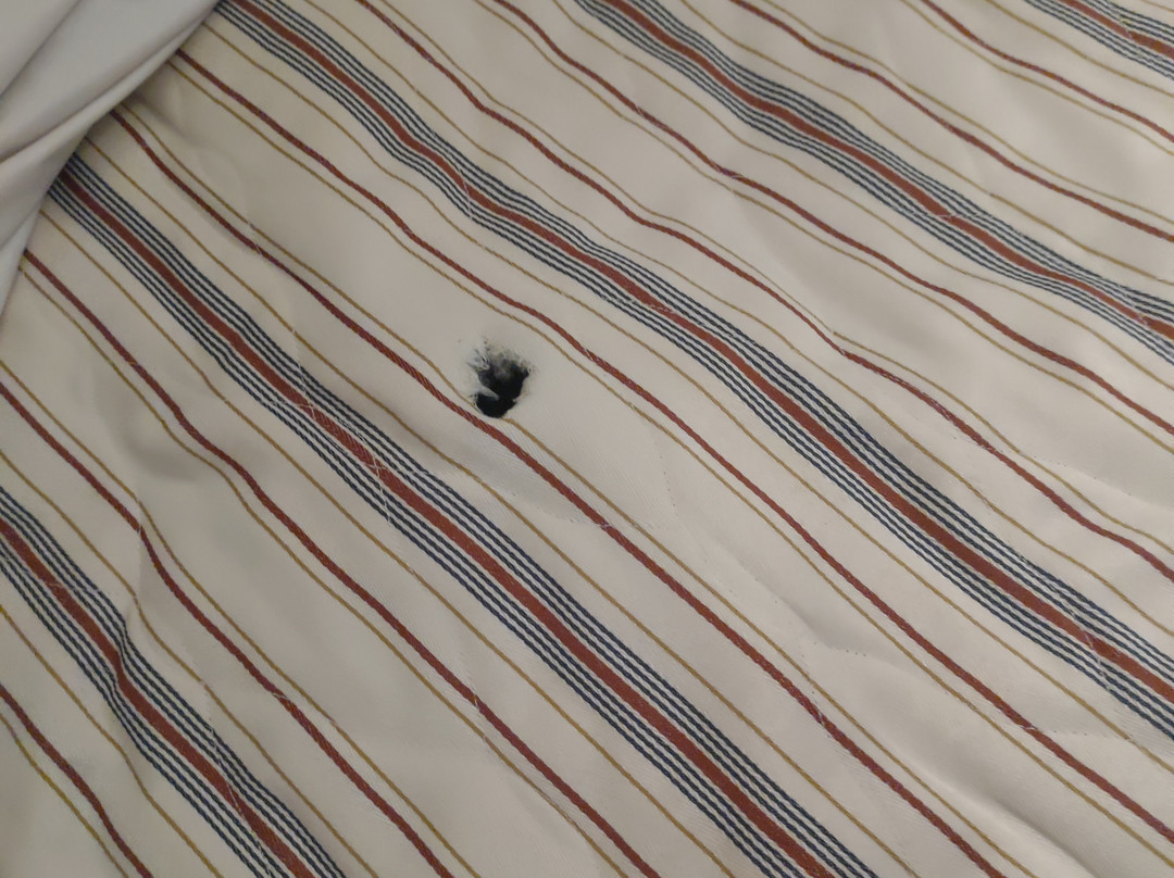 The Coach House Hotel主图