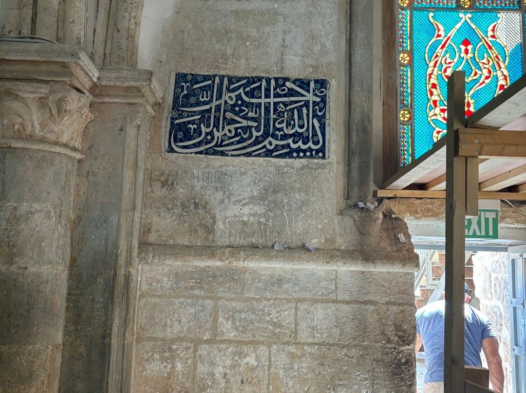 Gold Carpet Tours-Petah Tiqwa必去景点