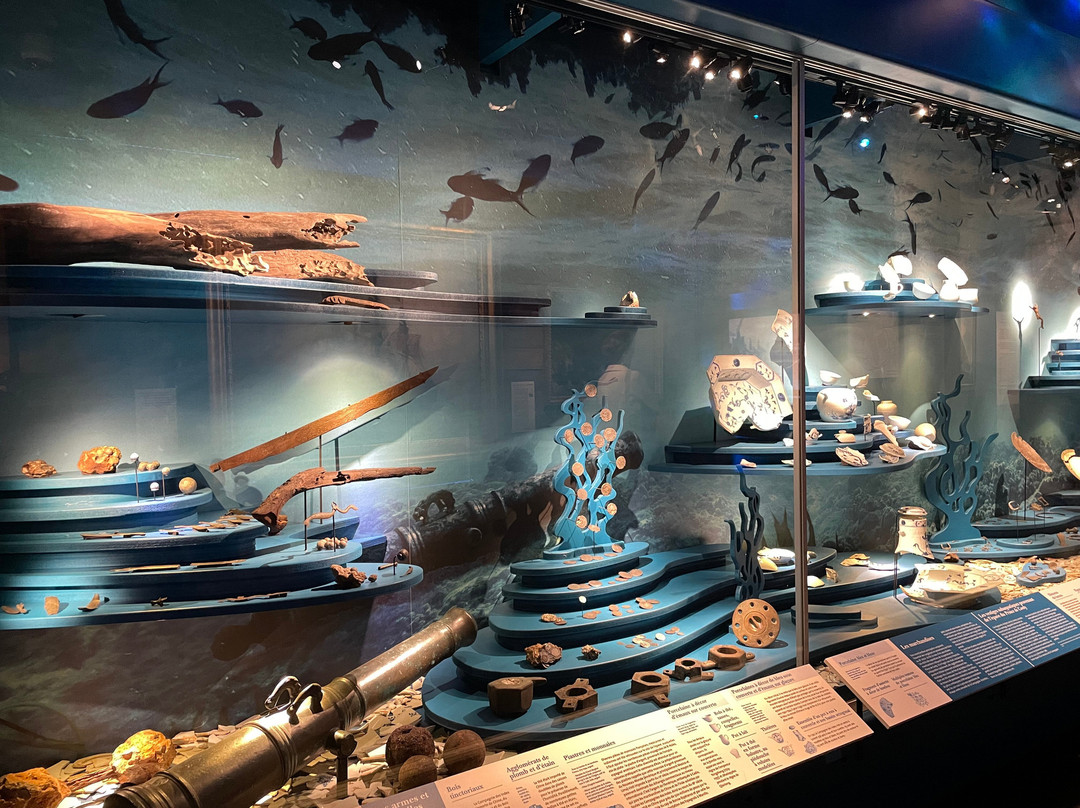 Musee de la Compagnie des Indes景点图片