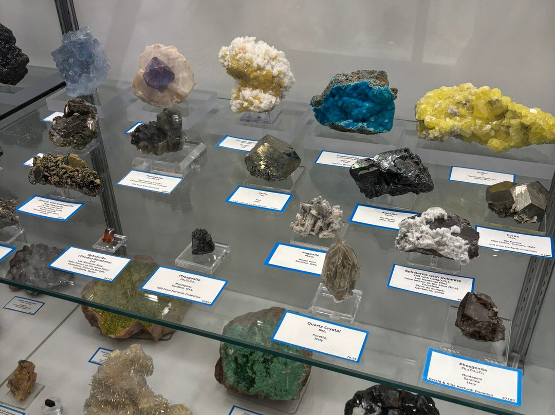 Mines Museum of Earth Science-戈尔登必去景点